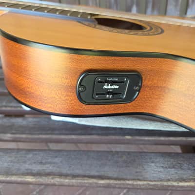 Don Cortez Santana Model 46 AE/Sapele Acoustic Electric Nylon String Cutaway Guitar wGB image 4