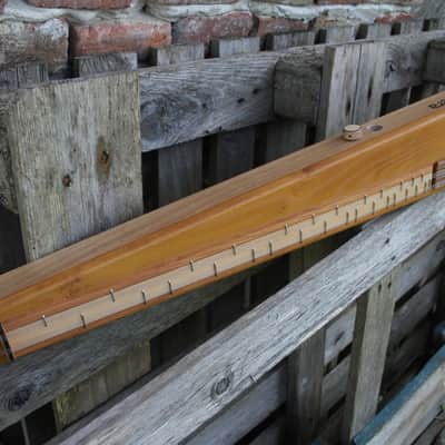 eCitera Electric Zither image 5