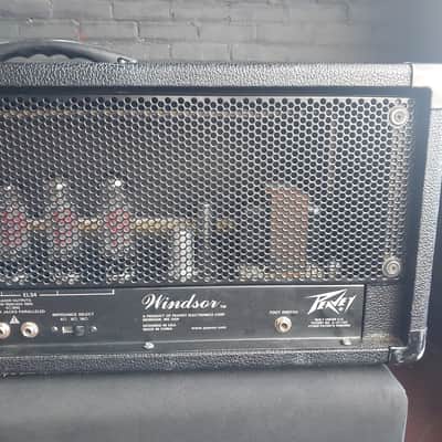 Peavey Windsor 100-Watt Guitar Head - Modded JCM800 Sound image 10