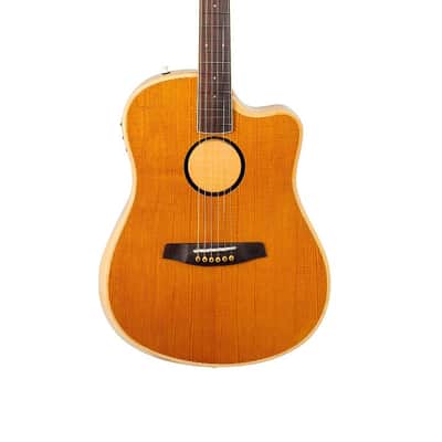 LR Baggs AEG-1 Torrefied Sitka Spruce Dreadnought Acoustic-Electric Guitar image 1