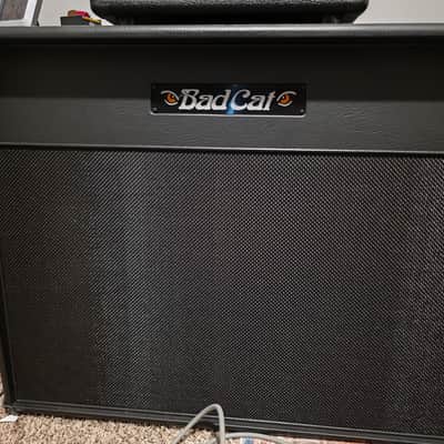 Bad Cat Era 2x12 2024 - Black image 1