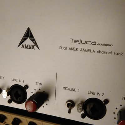 AMEK angela 2 channel mic pre with eq 2016 image 1