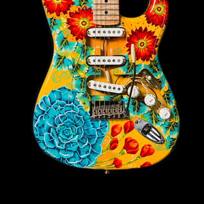 American Standard Stratocaster 2016 w/Custom Neck & Finish Bild 1