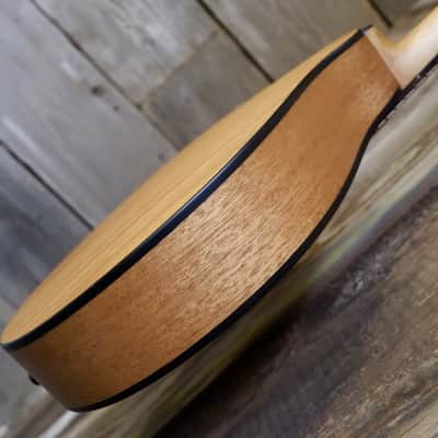 Eastman PCH M-104-NAT A-Style Mandolin - Natural image 19