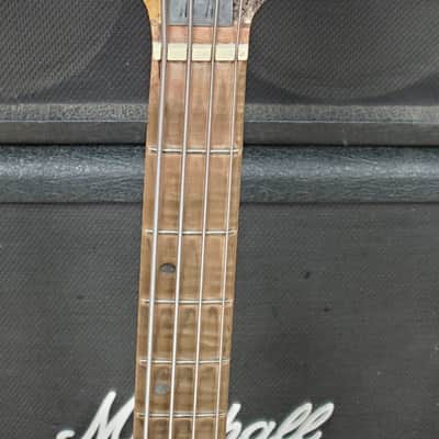 Tom Martinson Nessie 4 image 3