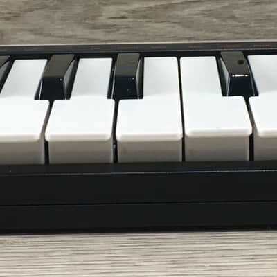 Akai LPK25 Master USB image 2