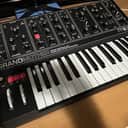 Moog Grandmother Dark 32-Key Semi-Modular Analog Synthesizer 2020 - Present - Black / Black Panel