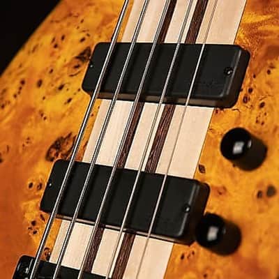 Cort A5PLUSSCAOP Artisan Series Ash Body Poplar Burl Top 5-String Electric Bass Guitar w/Premium Soft Case image 3