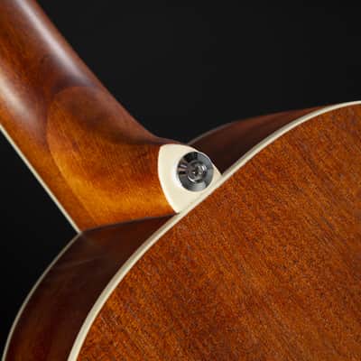 Ibanez PNB14E-OPN Open Pore Natural - Acoustic Bass image 10
