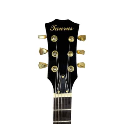 Taurus Les Paul - Acrylic image 9