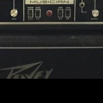 Peavey Musician Series 300 210-Watt Guitar / Bass Head