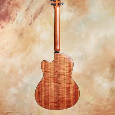 Linda Manzer Fanfret Baritone Acoustic image 9