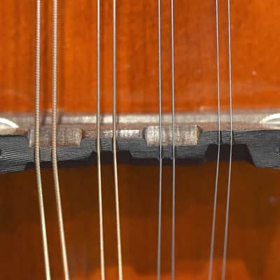 Kentucky Dawg Mandolin image 11