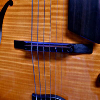 Sadowsky Jim Hall Archtop - Violin Burst image 7