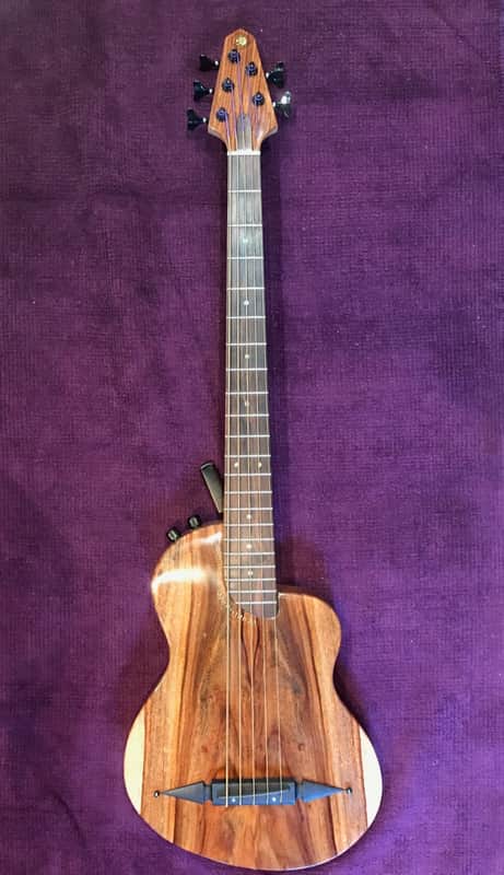 Rick Turner RB5 Fretted 2015 Gloss Renaissance Bass image 1
