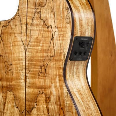 Cordoba C5-CET LTD Thinbody Classical Guitar image 8