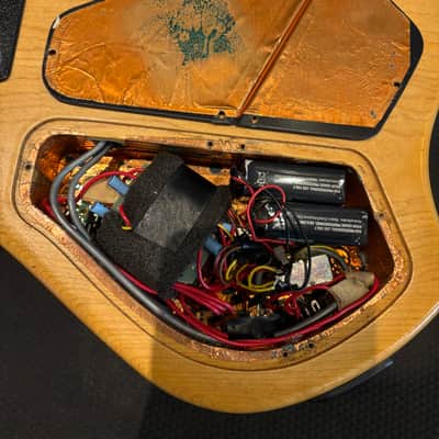 Fleishman 5-String Natural Dragon Bass *AS-IS NEEDS WORK* w/ Flight Case image 13