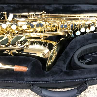 Selmer Seles Axos Alto Sax.  Gold Lacquer. Lightly Owned Pro Alto. NICE image 1