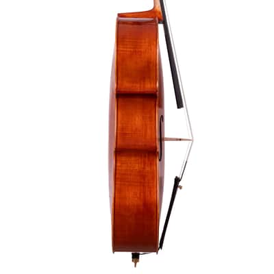Goffriller Cello 4/4 from One Piece Back - Hand-Made in Romania 2025 #99 image 5