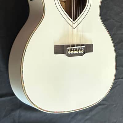 Rafferty Heartbeat ❤️ Acoustic Electric image 13