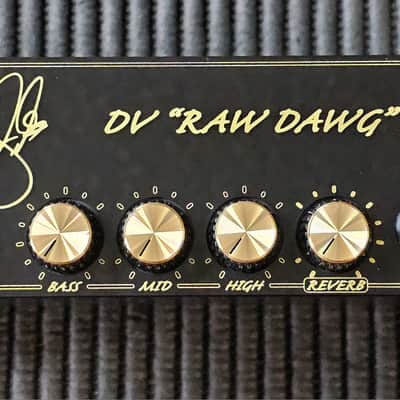 DV Mark DV "Raw Dawg" EG Eric Gales Signature V2 250-Watt Guitar Amp Head 2018 - Present - Black image 3