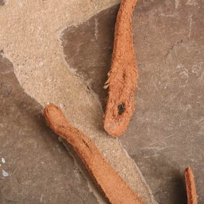 Old Fender Leather Strap with Flower Buckle image 4