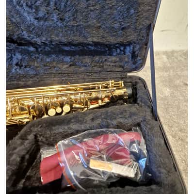 Rikter Alto - Saxophone - Excellent w/ Hard Case image 11