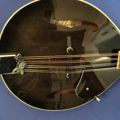 Ashbury Mandolin w/Case image 11