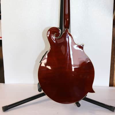 Michael Kelly Dragonfly Custom II Limited Edition Electric Mandolin LH W/Case image 8