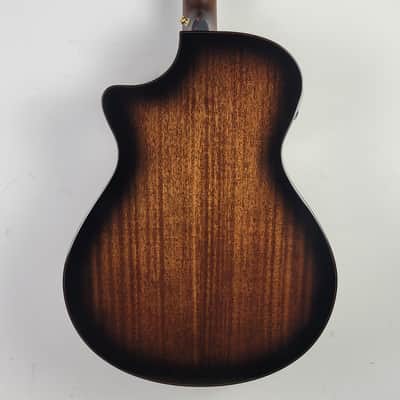 Breedlove Performer Pro Dreadnought Concerto CE - Aged Toner With OHSC Free Shipping image 2