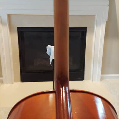 Eastman VC80 2022 - High'gloss Varnish image 8