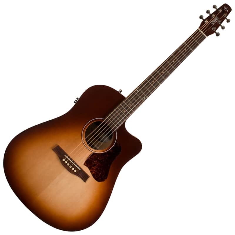 Seagull Entourage Dreadnought CW QIT image 1