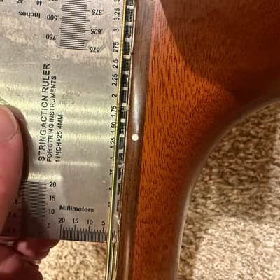 Lowden F-35c Cedar Ziricote image 5