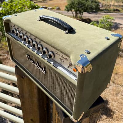 Two Rock TS1 6L6 50-Watt Moss Green Suede image 18