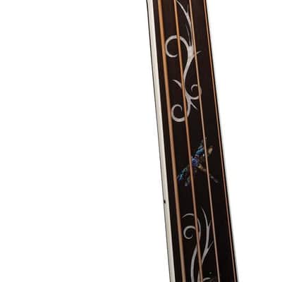Michael Kelly Dragonfly 4 Fretless Acoustic Bass with Smoke Burst Finish image 9