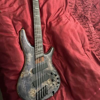 Ibanez Ibanez SDGR 5-String 2021 - Purple Burl image 1