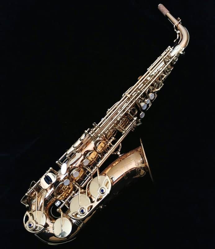 Yanagisawa Alto Saxophone AW020 Bronze Model Bronze image 1