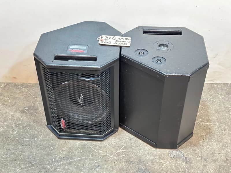 Apogee Sound AE-3Ms2 10" 2-Way Stage Monitor Loudspeaker #7137 (PAIR) THS image 1