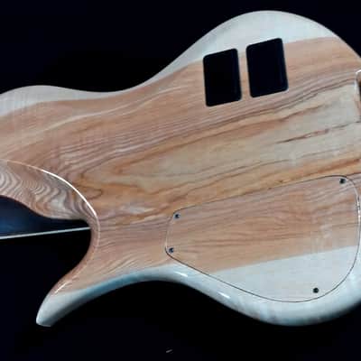 Handcrafted 6 string Snake Olympia by Gamma Guitars image 16