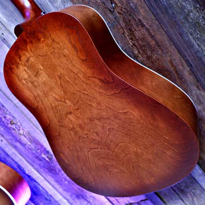 Seagull Entourage Dreadnought - Autumn Burst image 18