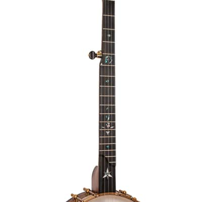 OME Juniper Walnut Openback Banjo image 8