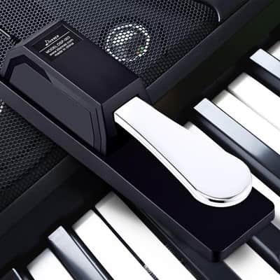 Universal Sustain Pedal with Polarity Switch for MIDI Keyboards, Digital Pianos, Synths image 2