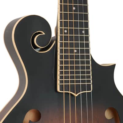Gold Tone F-Style 6-String Acoustic Electric Mandolin-Guitar w/ Hard Case image 4