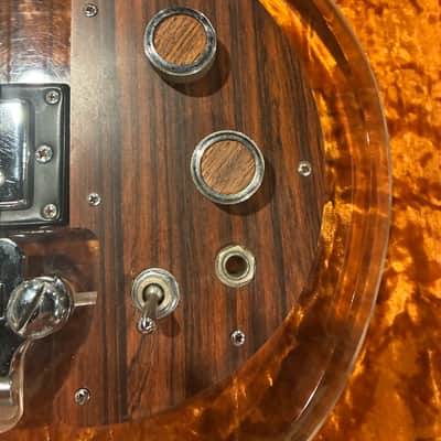 Univox AHB-1 "Lucy" Bass Acrylic image 6