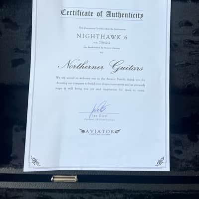 Aviator Nighthawk 2020-2022 image 5