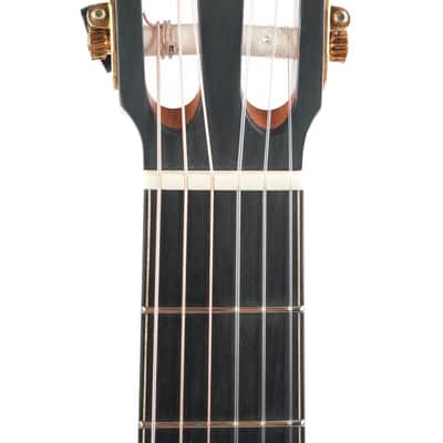 Lowden S50J Jazz Nylon Guatemalan Rosewood Alpine Spruce 2021 image 2