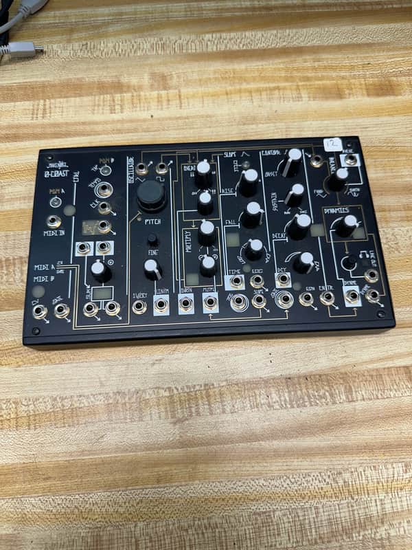 Make Noise 0-Coast Patchable Synthesizer 2008 - Present - Black