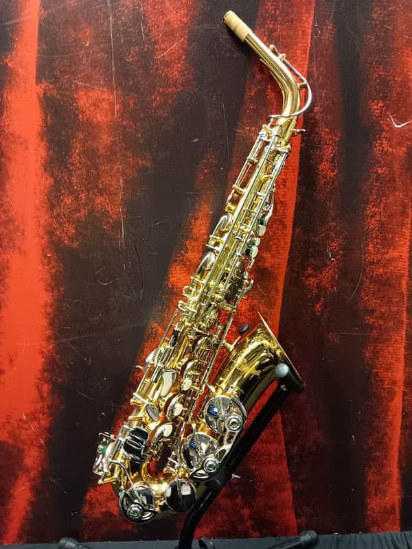 Giardinelli GAS-300 Alto Saxophone (White Plains, NY) image 1