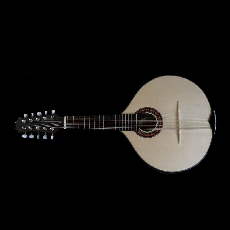 Junio Americo 10-String Mandolin | Brazil image 1