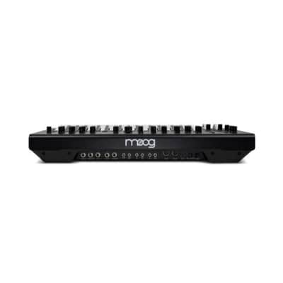 Moog Messenger Monophonic Analog Synthesizer 32-Key Velocity-Sensitive Keyboard with Dual Oscillators and Multimode Ladder Filter image 8